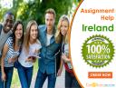 No1 Assignment Help Services in Ireland logo